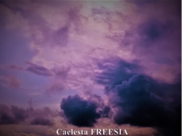 Фотография под названием "Discussion céleste" - Caelesta Freesia, Подлинное произведение искусства, Манипулированная фотогра…