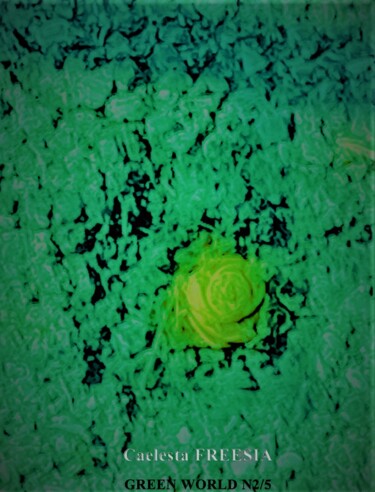 Фотография под названием "Enigmatique cactus" - Caelesta Freesia, Подлинное произведение искусства, Манипулированная фотогра…