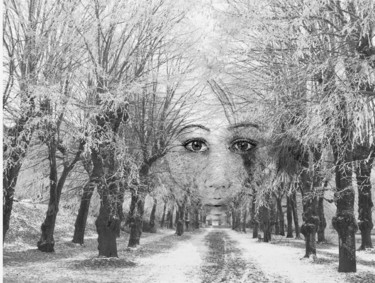 Arts numériques intitulée "Au bout du chemin" par Kalix Guta, Œuvre d'art originale, Photo montage