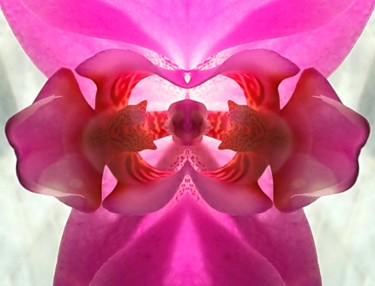 Digital Arts titled "Orchid.jpg" by Came2leon, Original Artwork, Other