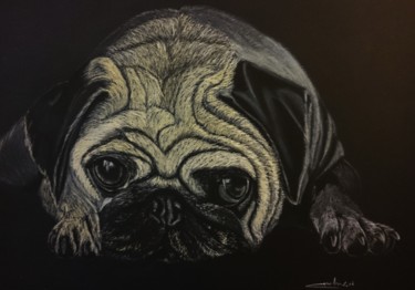 Drawing titled "dog.jpg" by Caméléon, Original Artwork, Conté