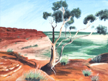 Painting titled "Australian Canyon" by Cmh, Original Artwork, Acrylic