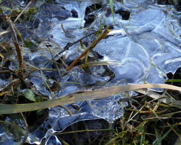 Fotografia intitolato "Sous la glace" da Camille R., Opera d'arte originale, Fotografia digitale