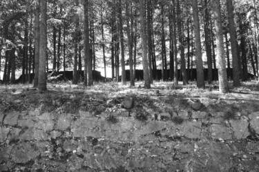 Photographie intitulée "Une forêt en Ardèche" par Camille R., Œuvre d'art originale, Photographie numérique
