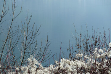 Photographie intitulée "La dernière neige" par Camille R., Œuvre d'art originale, Photographie non manipulée