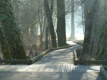 Photographie intitulée "Magie" par Camille R., Œuvre d'art originale, Photographie numérique