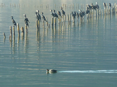 Fotografia intitulada "Un passant discret" por Camille R., Obras de arte originais, Fotografia digital