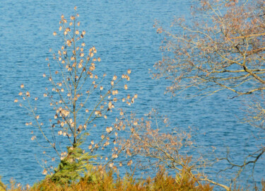 Fotografia zatytułowany „Feuilles d'or” autorstwa Camille R., Oryginalna praca, Fotografia cyfrowa