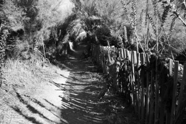 Photographie intitulée "Au creux du chemin" par Camille R., Œuvre d'art originale, Photographie non manipulée