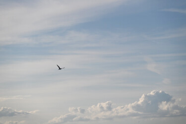 Photography titled "Ecrit sur le ciel" by Camille R., Original Artwork, Non Manipulated Photography