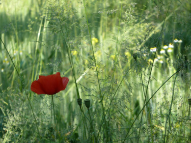 Fotografia intitolato "Le printemps" da Camille R., Opera d'arte originale, Fotografia digitale