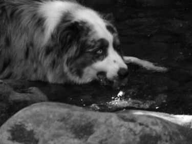 Photographie intitulée "A la rivière" par Camille R., Œuvre d'art originale, Photographie non manipulée