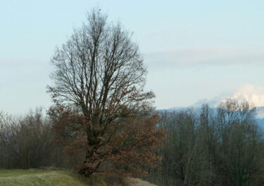 Fotografia intitulada "Un arbre et au loin…" por Camille R., Obras de arte originais, Fotografia Não Manipulada