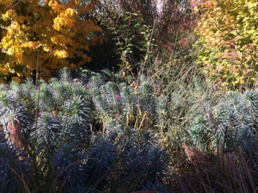 Fotografia zatytułowany „Automne à Duingt” autorstwa Camille R., Oryginalna praca, Fotografia nie manipulowana