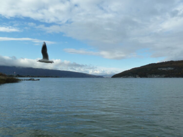 Fotografia intitolato "A vol de mouette" da Camille R., Opera d'arte originale, Fotografia non manipolata