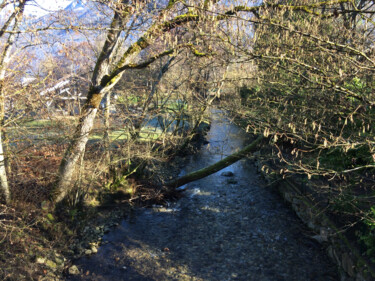 Fotografía titulada "La rivière bleue" por Camille R., Obra de arte original, Fotografía no manipulada