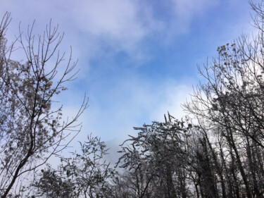 Photographie intitulée "Arbres autour du ci…" par Camille R., Œuvre d'art originale, Photographie non manipulée