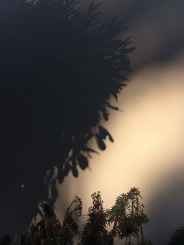 Photography titled "Ombres chinoises" by Camille R., Original Artwork, Non Manipulated Photography
