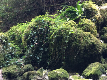 Photography titled "Les rochers verts" by Camille R., Original Artwork, Non Manipulated Photography