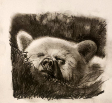Dibujo titulada "Bear" por Camilo Flores, Obra de arte original, Carbón