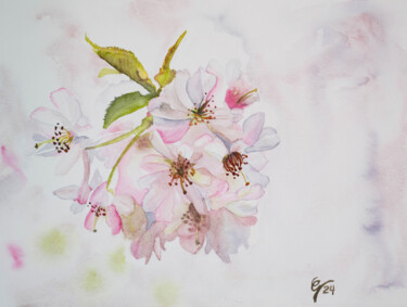 Painting titled "Cherry Blossoms" by Candace Grey, Original Artwork, Watercolor