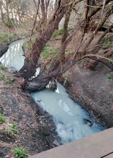 Photography titled "Cours d'eau boisé" by Canelle Pictures (Maczek), Original Artwork, Non Manipulated Photography