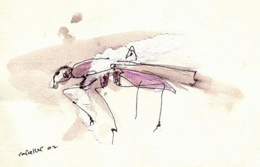 Dibujo titulada "mosquito" por Enrique Carceller Alcón, Obra de arte original, Otro