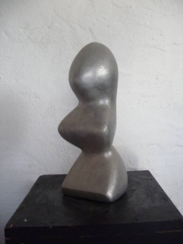 Sculpture intitulée "Elévation" par Stephane Carel, Œuvre d'art originale, Métaux