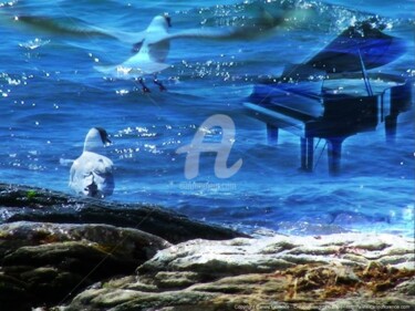 Arts numériques intitulée "L'âme au piano" par Florence Cariou, Œuvre d'art originale