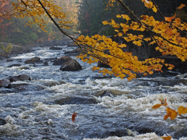 Photographie intitulée "Au gré de la rivière" par Carl Legault, Œuvre d'art originale, Photographie numérique Monté sur Châs…