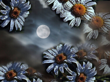 Fotografia intitulada "Au clair de la lune" por Carl Legault, Obras de arte originais, Fotografia digital Montado em Armação…
