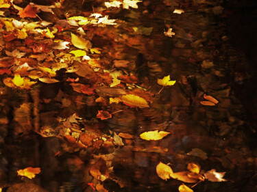 Fotografia zatytułowany „Couleur couleur” autorstwa Carl Legault, Oryginalna praca, Fotografia cyfrowa Zamontowany na Drewni…