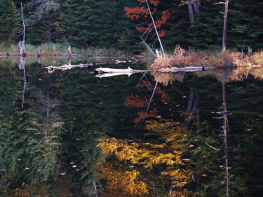 摄影 标题为“Miroir de l'automne” 由Carl Legault, 原创艺术品, 数码摄影 安装在木质担架架上