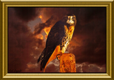 Photography titled "Power of Heaven" by Carl Legault, Original Artwork, Digital Photography Mounted on Wood Stretcher frame
