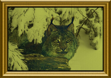 Photography titled "Lynx du Canada" by Carl Legault, Original Artwork, Digital Photography Mounted on Wood Stretcher frame