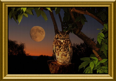 Photography titled "Sage" by Carl Legault, Original Artwork, Digital Photography Mounted on Wood Stretcher frame