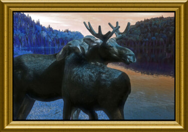 Photography titled "Moose love" by Carl Legault, Original Artwork, Digital Photography