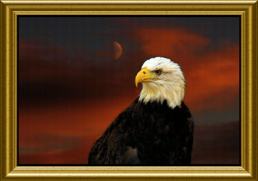 Photography titled "Eagle" by Carl Legault, Original Artwork, Digital Photography Mounted on Wood Stretcher frame