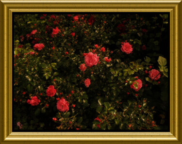 Photography titled "Parfum de rose" by Carl Legault, Original Artwork, Digital Photography Mounted on Other rigid panel