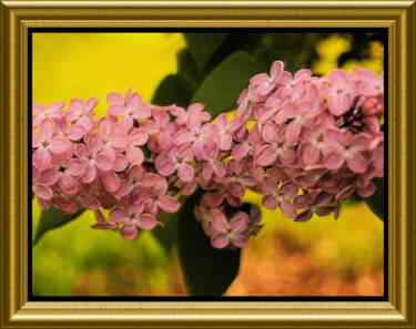 Photography titled "Lilas rose" by Carl Legault, Original Artwork, Digital Photography Mounted on Other rigid panel