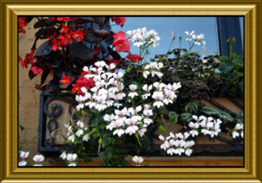 Photography titled "Rêves de fleurs" by Carl Legault, Original Artwork, Digital Photography Mounted on Wood Stretcher frame