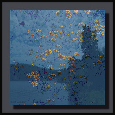 Digital Arts titled "Fleurs de stars" by Carl Legault, Original Artwork, Digital Photography Mounted on Wood Stretcher frame