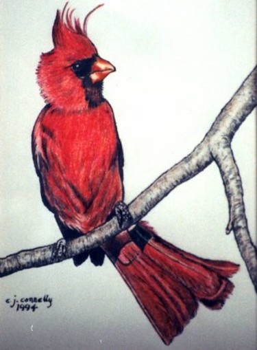 Painting titled "Cardinal" by Carla J Connelly, Original Artwork, Oil