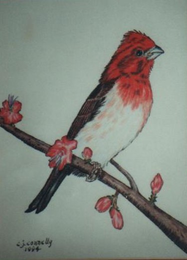Painting titled "Finch" by Carla J Connelly, Original Artwork, Oil