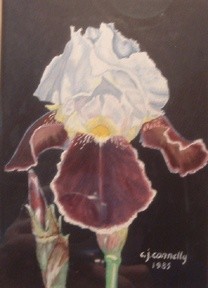 Painting titled "Purple iris" by Carla J Connelly, Original Artwork