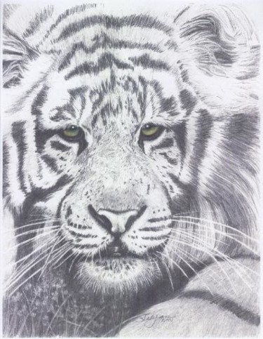 Painting titled "PRINTS of Tiger, ti…" by Carla J Connelly, Original Artwork, Oil