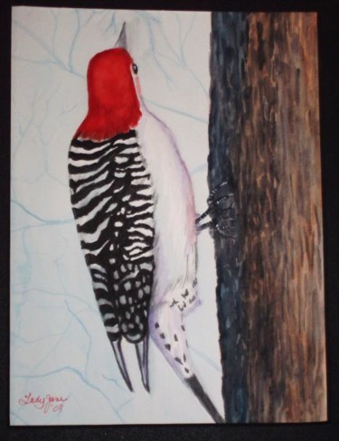 Painting titled "Red Belly Woodpecker" by Carla J Connelly, Original Artwork, Oil