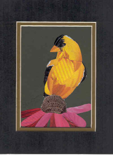 Painting titled "Gold Finch" by Carla J Connelly, Original Artwork