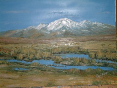 Peinture intitulée "La Bolivie" par Carlau, Œuvre d'art originale