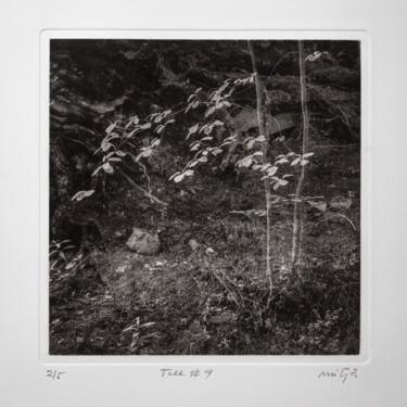 Estampas & grabados titulada "Tree #9" por Carles Mitjà, Obra de arte original, Aguafuerte
